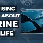 Surprising Facts About Marine Wildlife