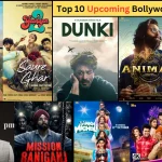 10 Best Bollywood Movies 2023: Dunki, Tiger 3, Animal, Housefull 5, and more