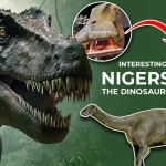 Interesting Facts About Nigersaurus: The Dinosaur With 500 Teeth