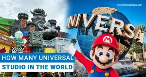 universal studio