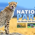 Best National Parks You Should Visit Once in Your Life