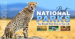 Best National Parks