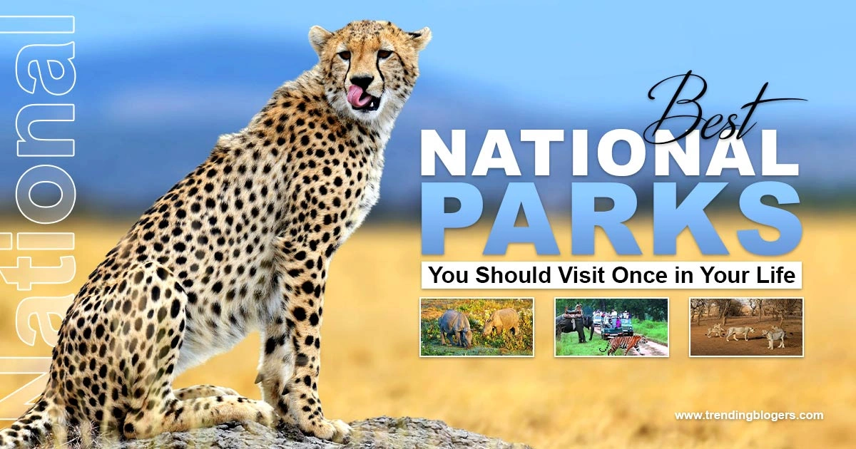 Best National Parks